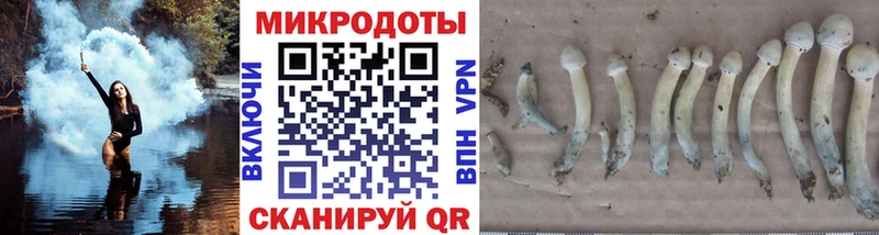 закладки  Ленинск  Галлюциногенные грибы Cubensis 
