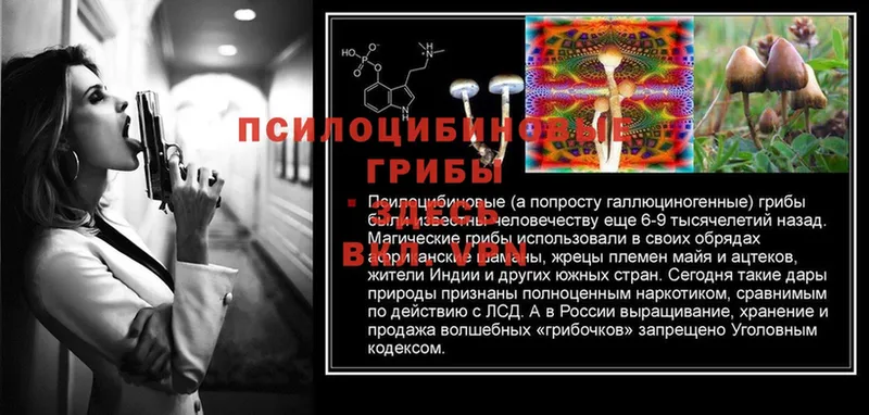 Галлюциногенные грибы MAGIC MUSHROOMS  Ленинск 